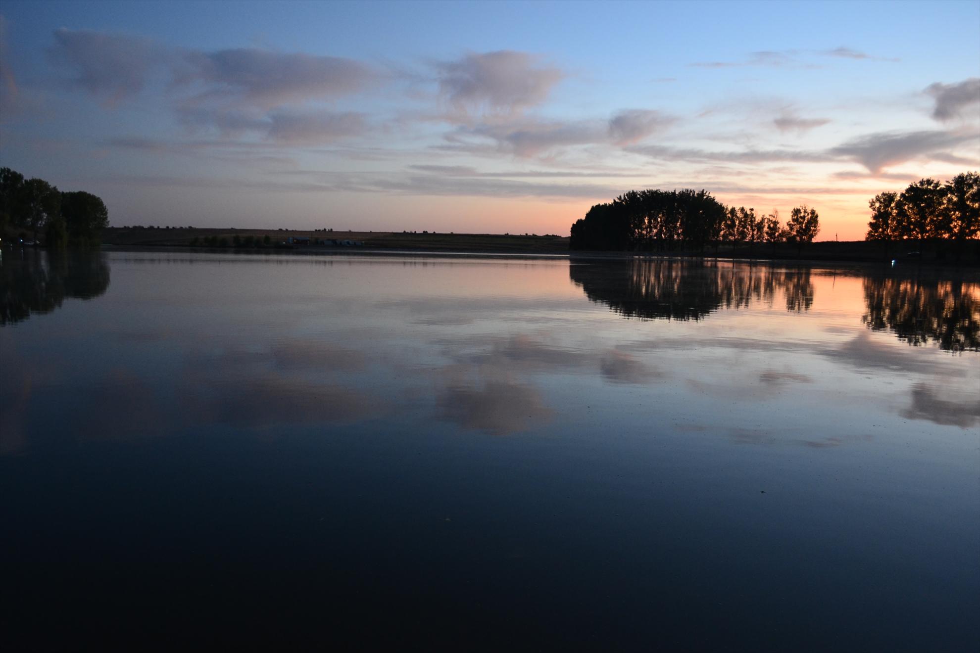 Frasinet was - become - was